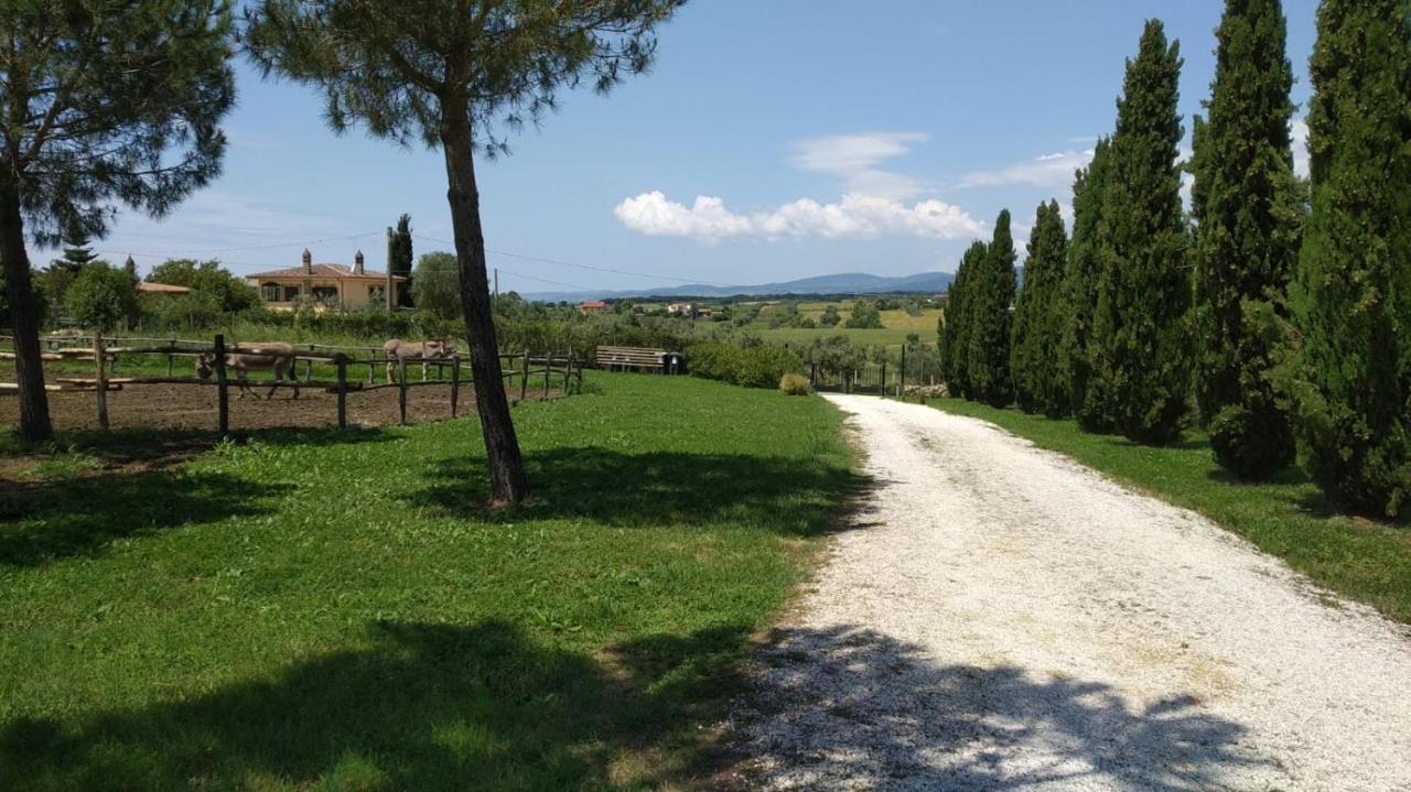 Agriturismo Casale San Benedetto Ceri Luaran gambar